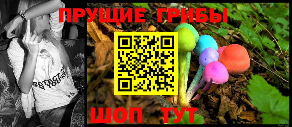 Галлюциногенные грибы GOLDEN TEACHER  Псилоцибиновые грибы MAGIC MUSHROOMS  Октябрьский  Вход с VPN 